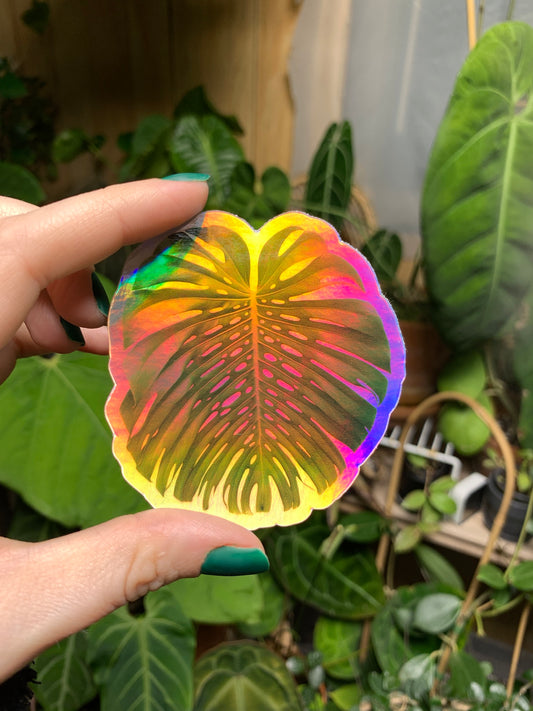 Holographic Monstera Sticker